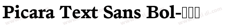 Picara Text Sans Bol字体转换 Picara Text Sans Bol字体转换